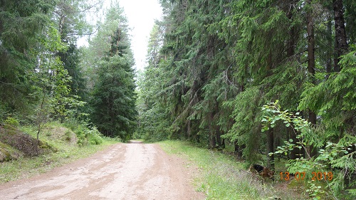 DSC02350.jpg-52.jpg