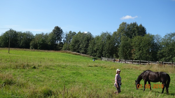 DSC02621.jpg-3.jpg