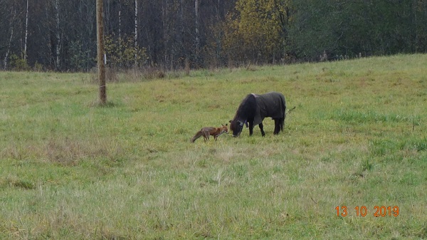 DSC02672_3.jpg
