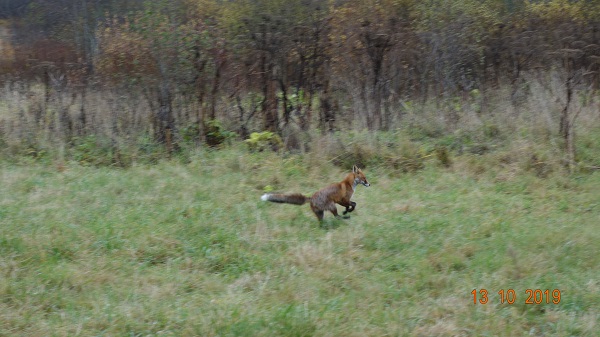 DSC02676_5.jpg