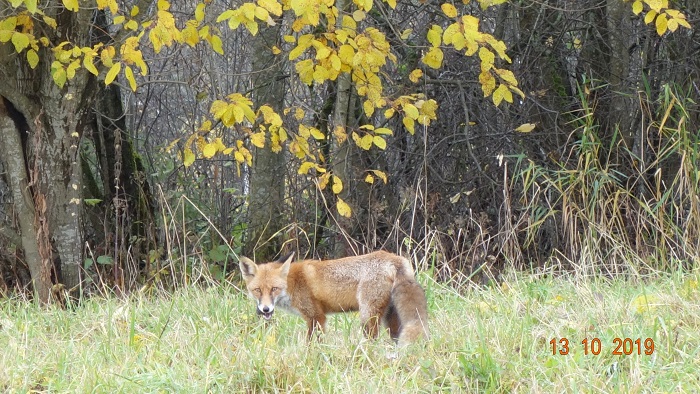 DSC02705_13.jpg