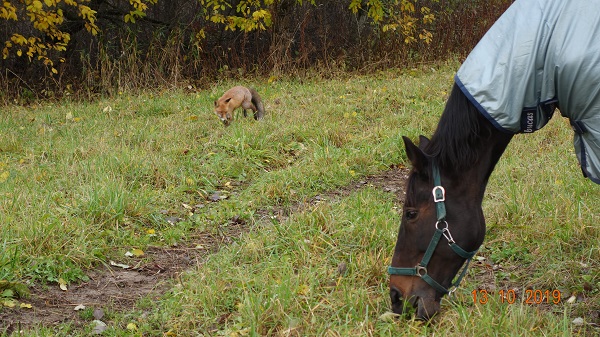 DSC02710_14.jpg