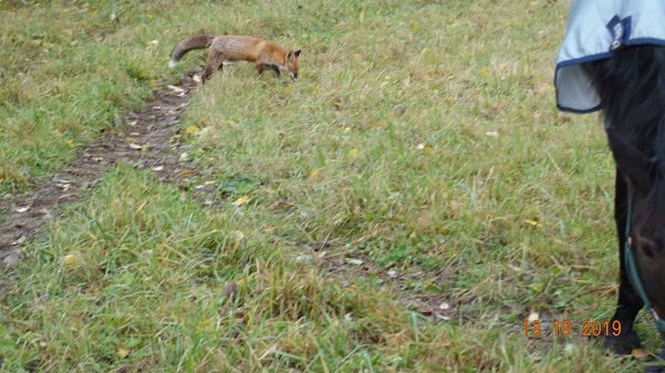 DSC02711_15.jpg