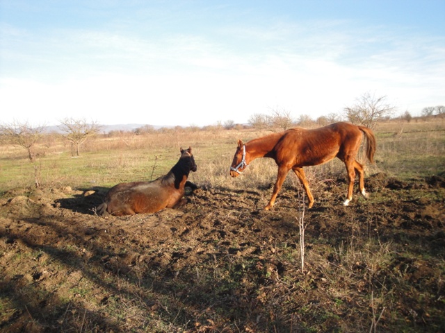 DSC03250.JPG