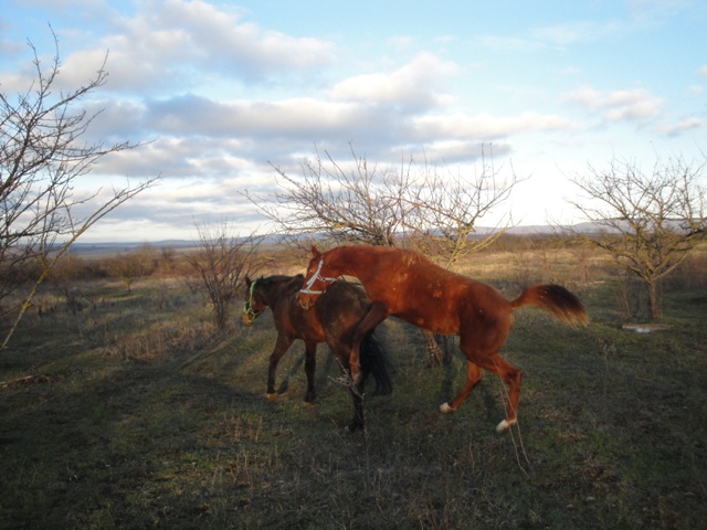 DSC03289.JPG