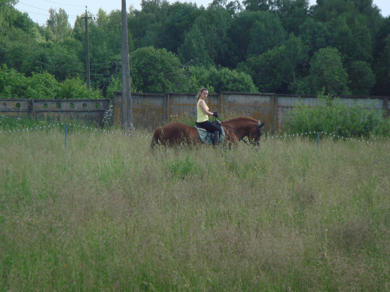 DSC04377.JPG