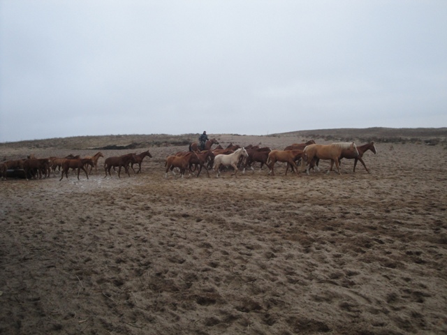 DSC04384.JPG
