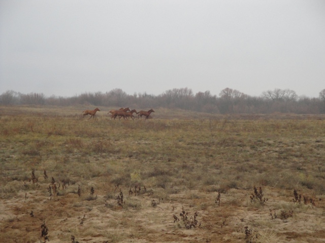 DSC04419.JPG
