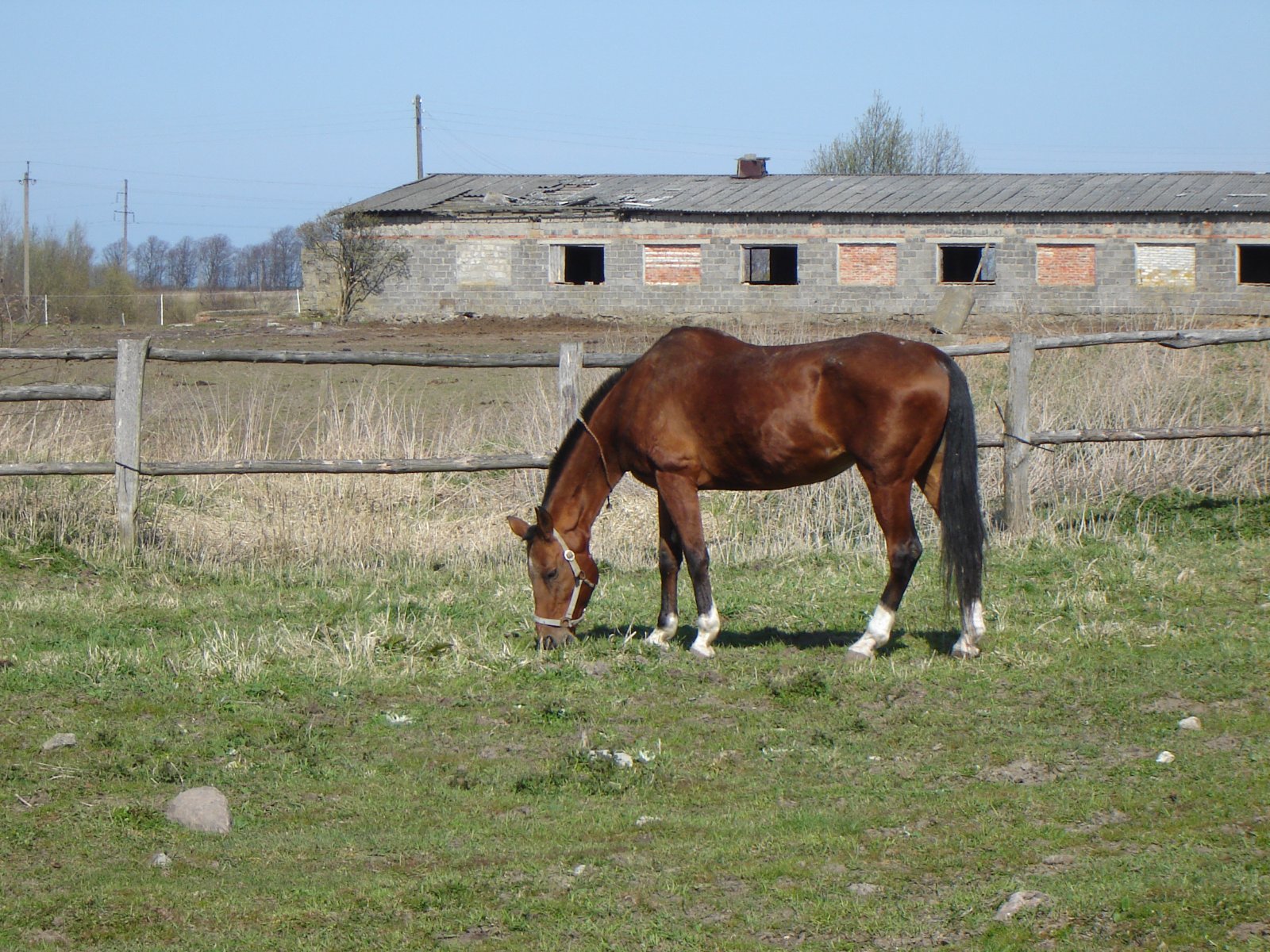 DSC04784.JPG