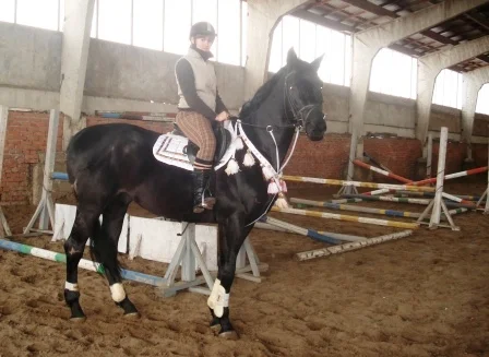 DSC05282.webp