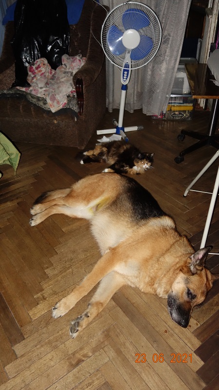 DSC05556.JPG