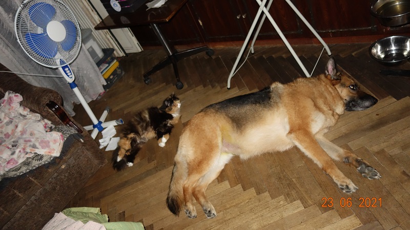 DSC05557.JPG