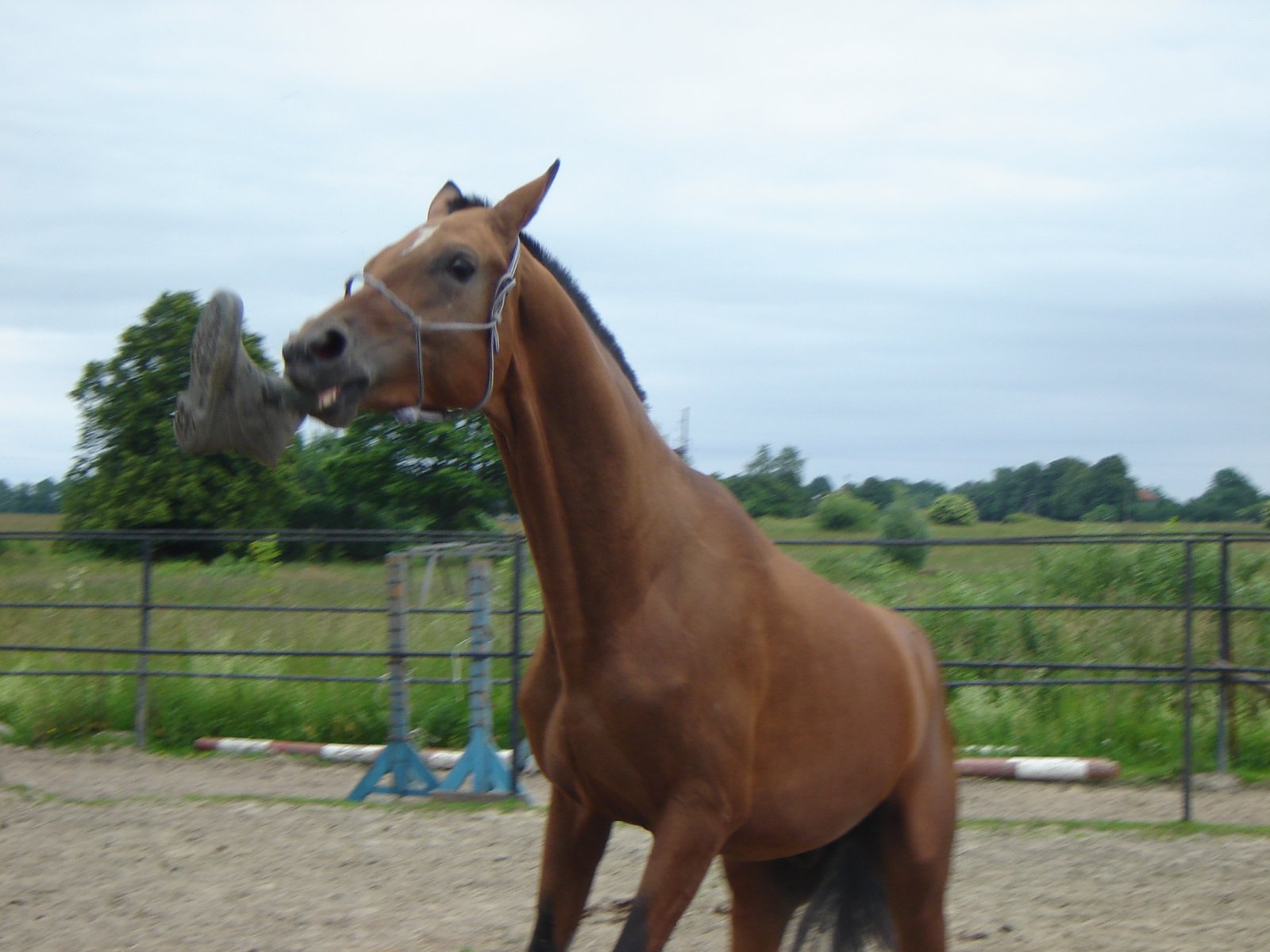 DSC05884.JPG