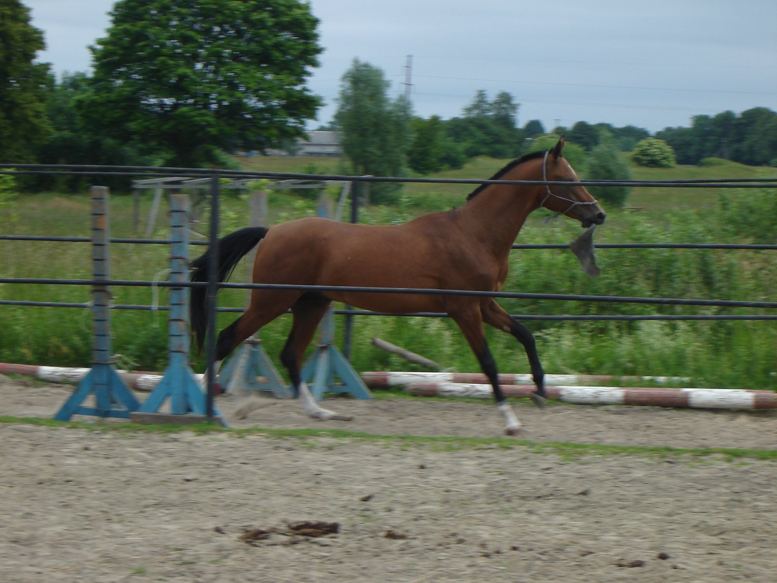 DSC05886.JPG