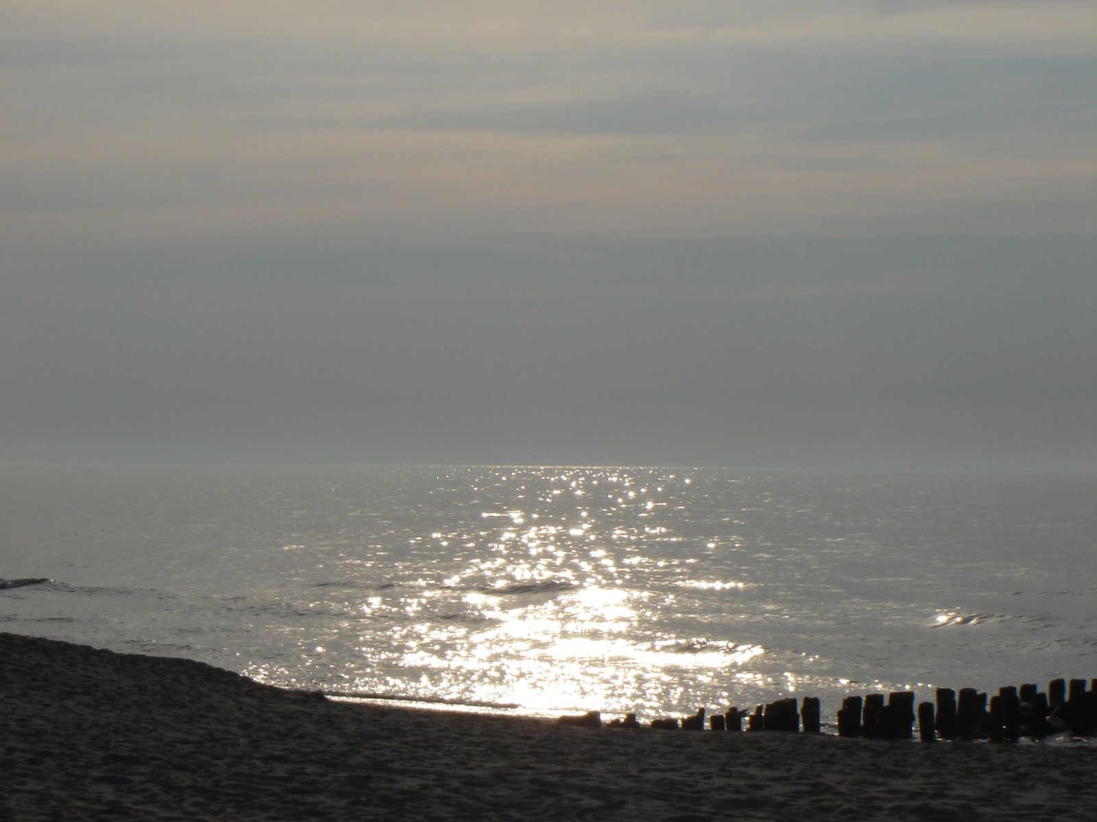 DSC06023.JPG