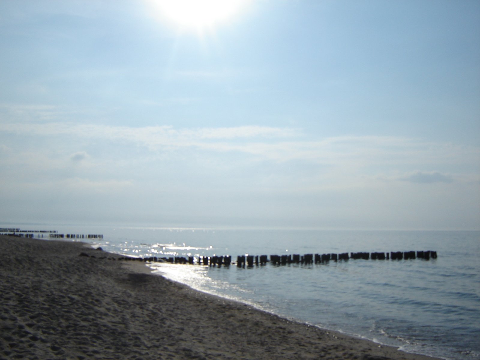 DSC06198.JPG