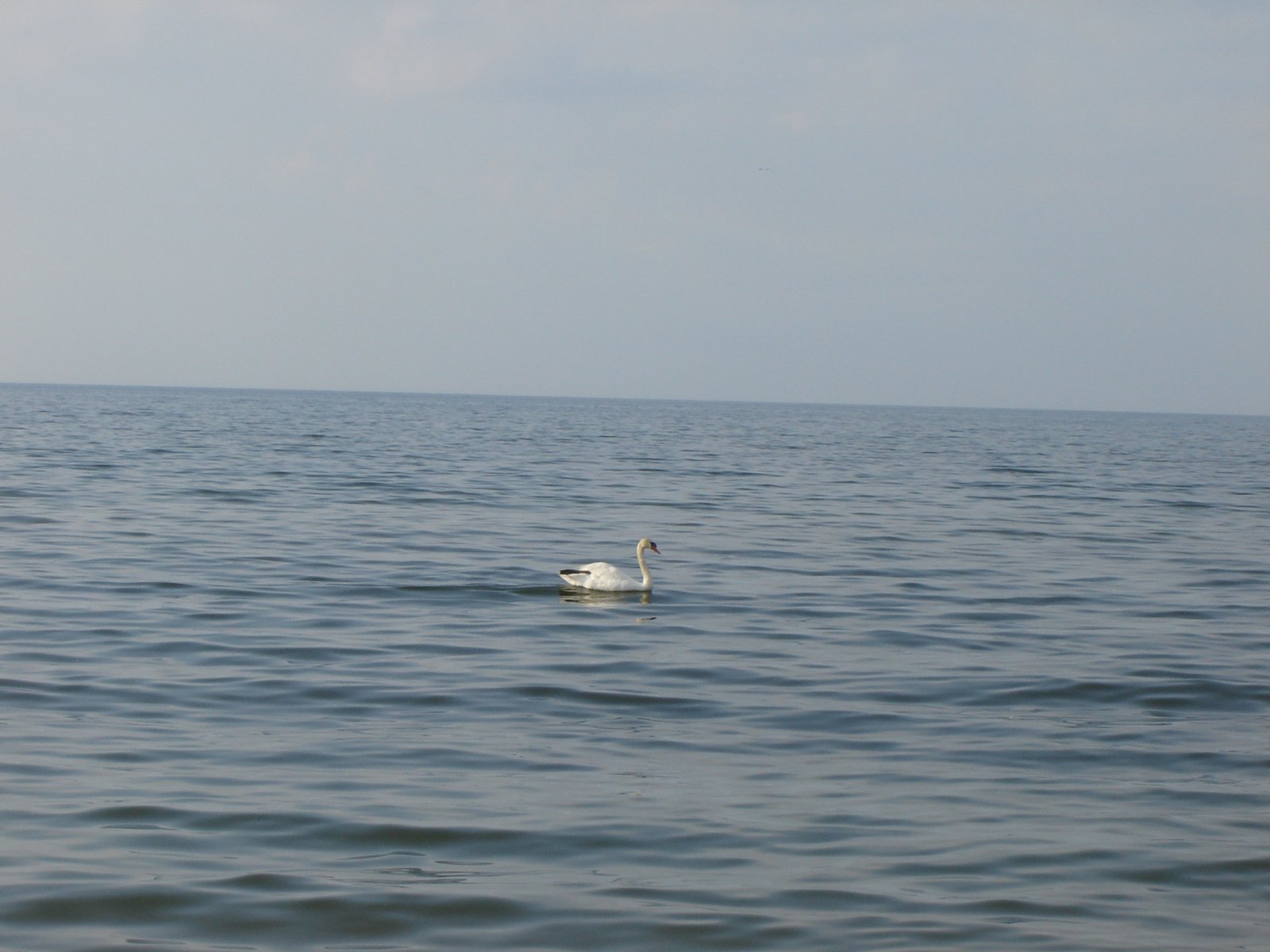 DSC06212.JPG