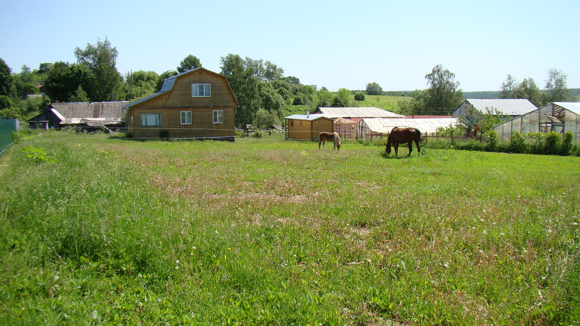 DSC06327.JPG