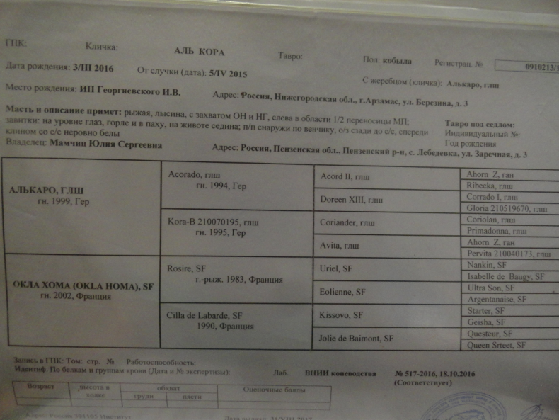 DSC06700_photo-resizer.ru.png