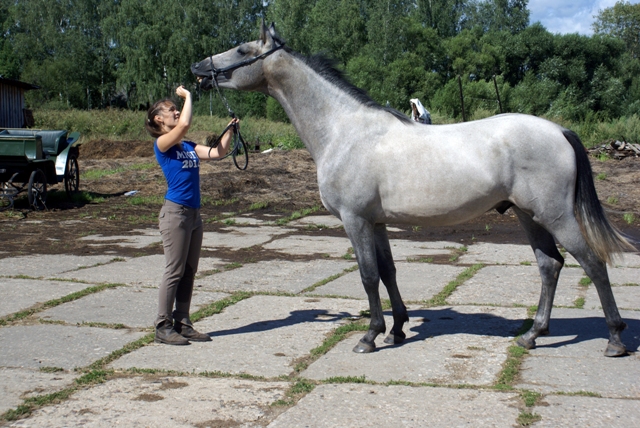 dsc07715-kopija-jpg.223670