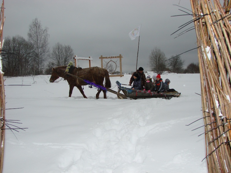 DSC07795_1.JPG