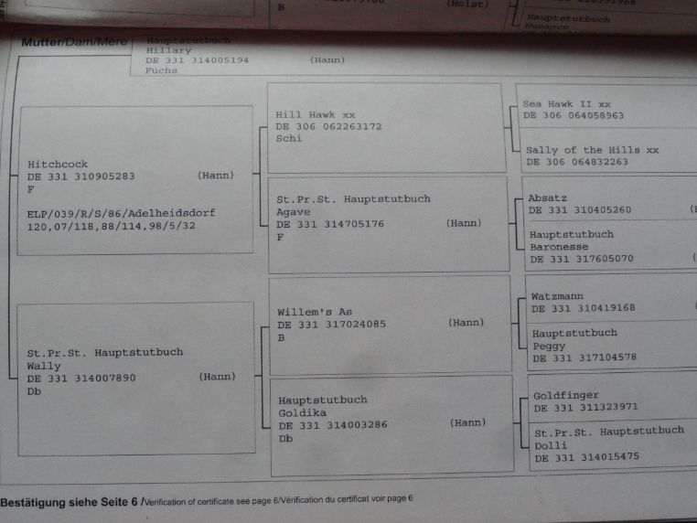 DSC08018_photo-resizer.ru.png