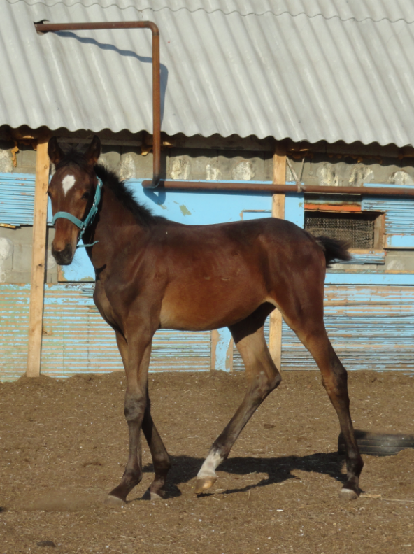 DSC08110_1_photo-resizer.ru.png
