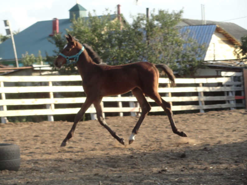 DSC08120_photo-resizer.ru.png
