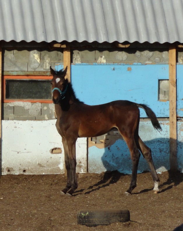 DSC08147_1_photo-resizer.ru.png