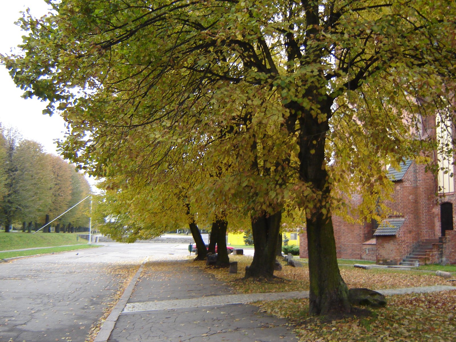 DSC08262.JPG