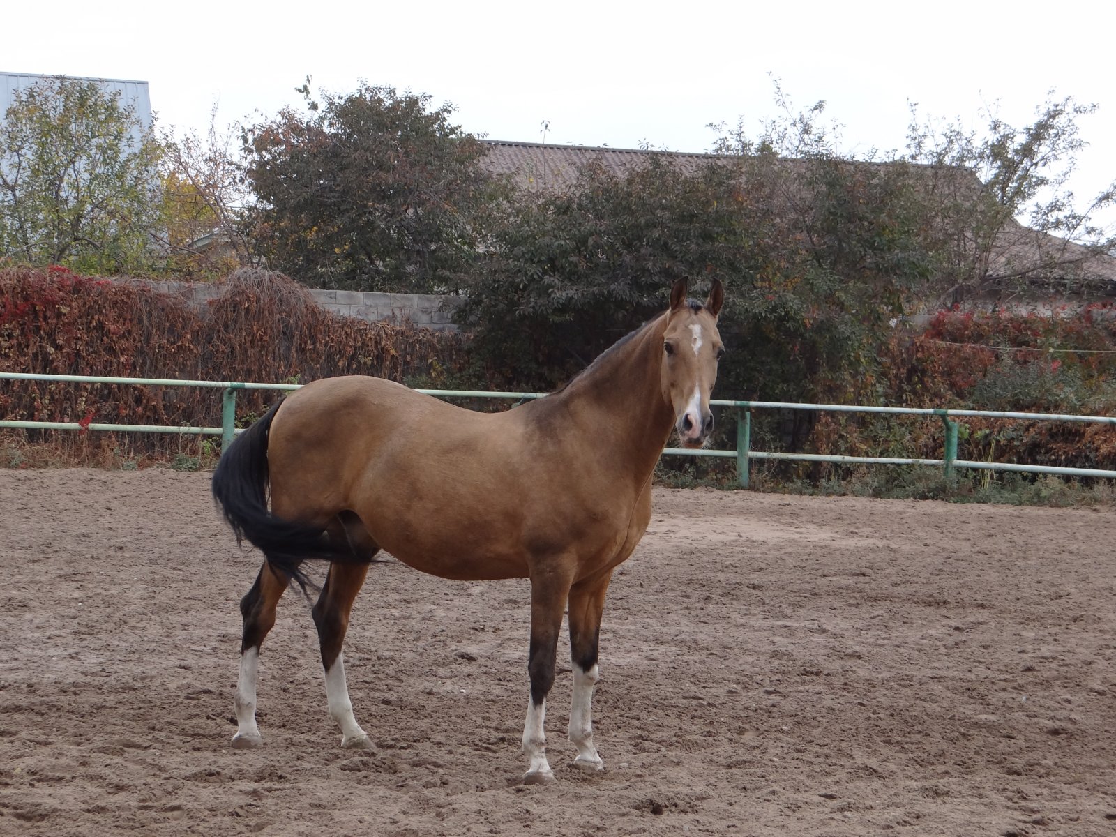 DSC08274.JPG