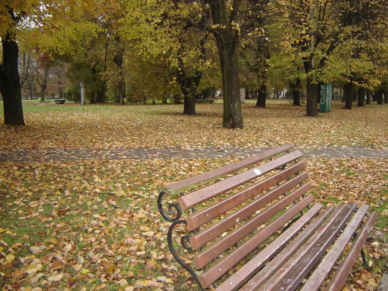 DSC08280.JPG