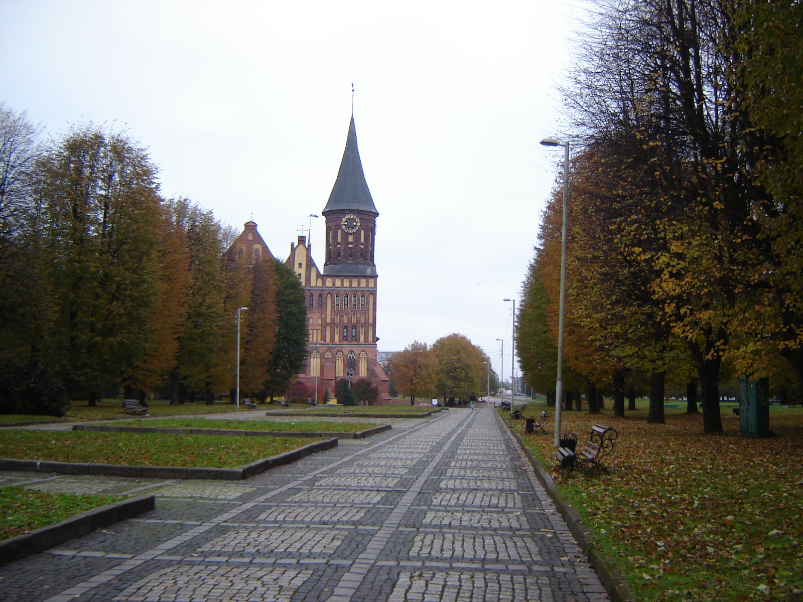 DSC08285.JPG