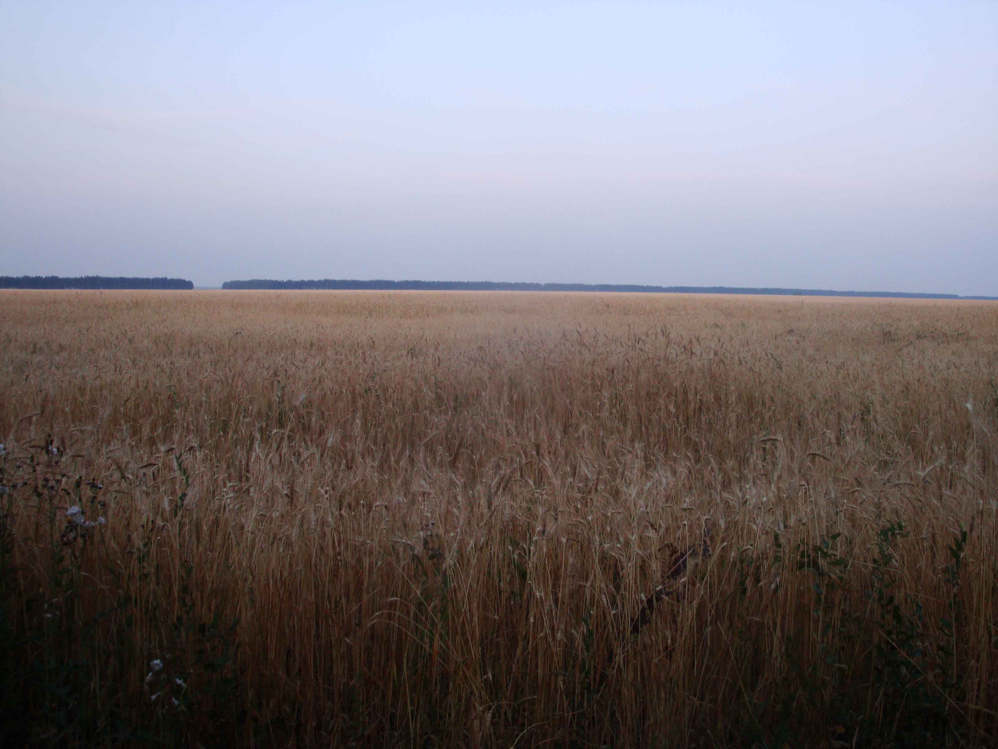 DSC08666.JPG