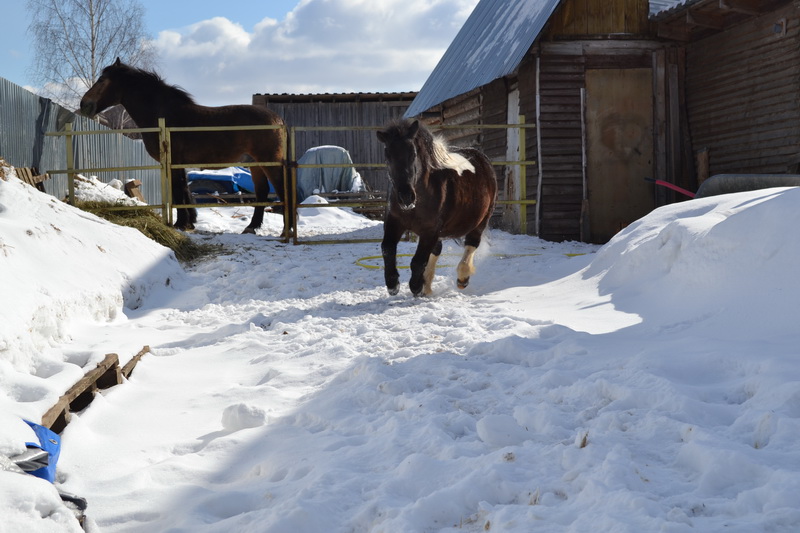 DSC_0005.JPG