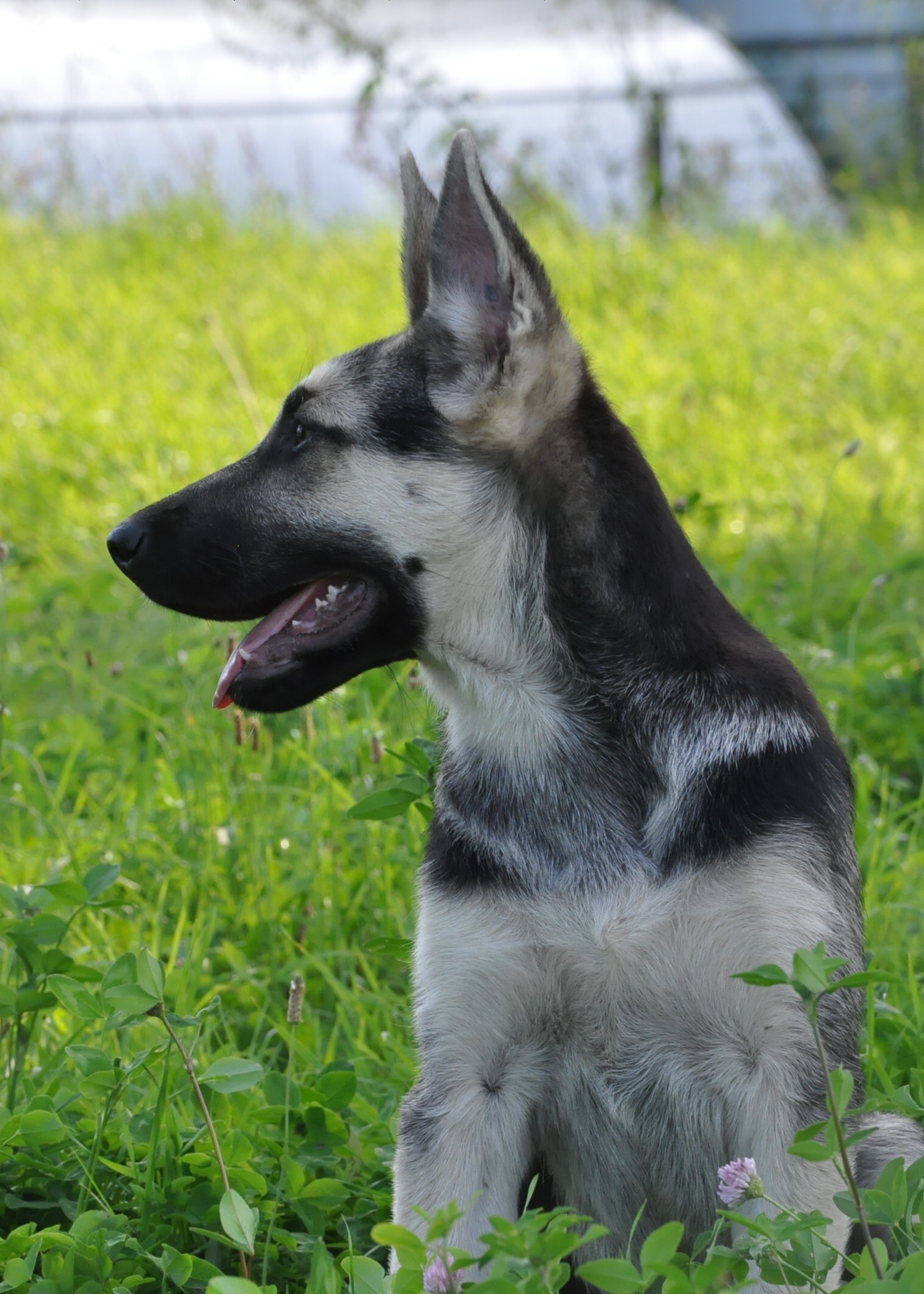DSC_0020.JPG