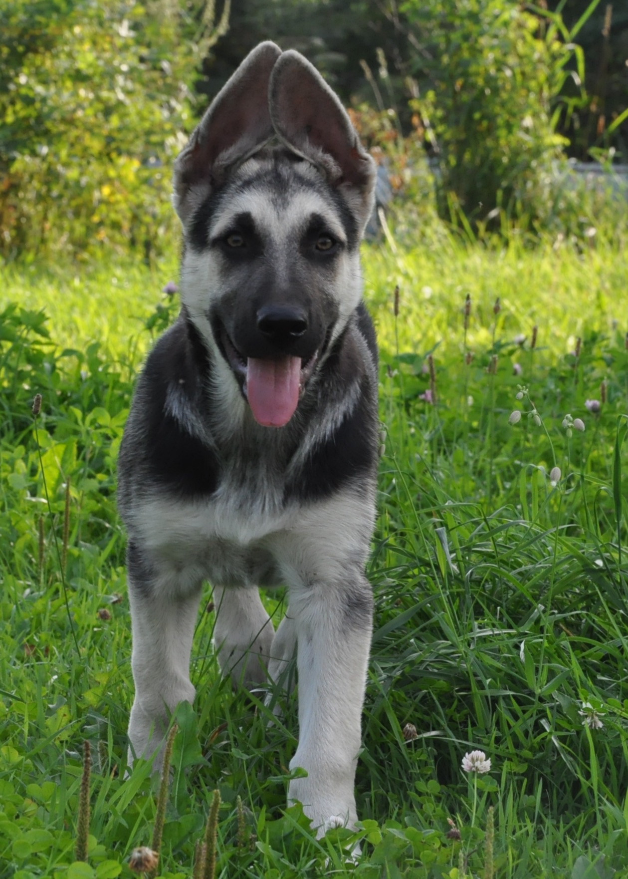 DSC_0032.JPG