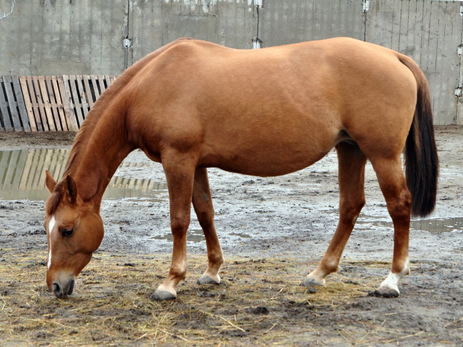 DSC_0032.JPG