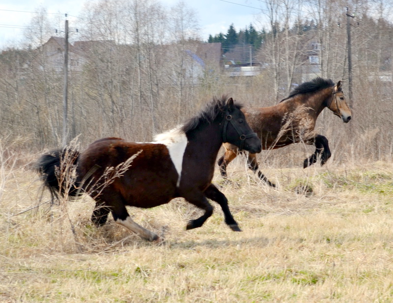 DSC_0034.JPG
