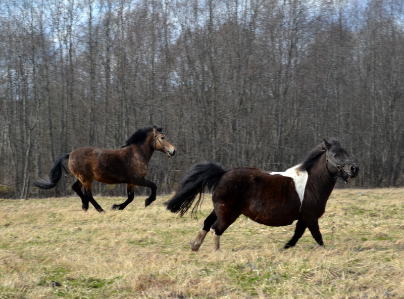 DSC_0038.JPG