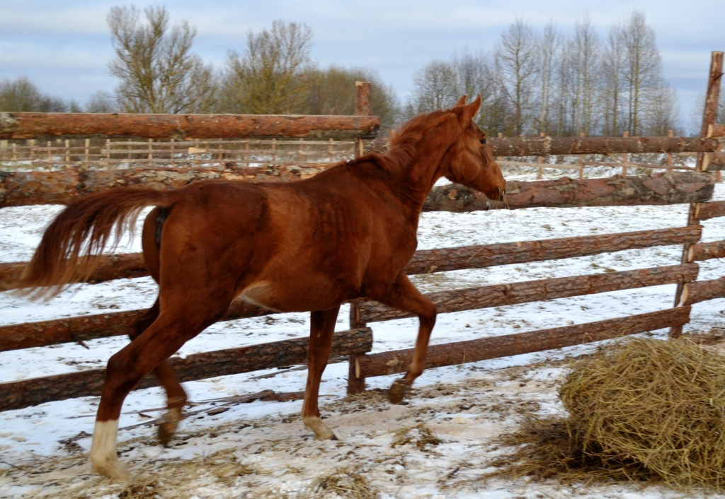 DSC_0039.JPG