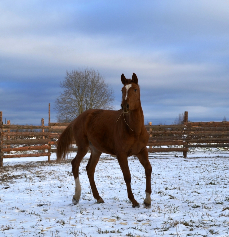DSC_0047.JPG