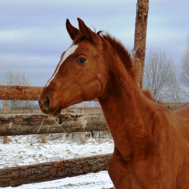 DSC_0049.JPG