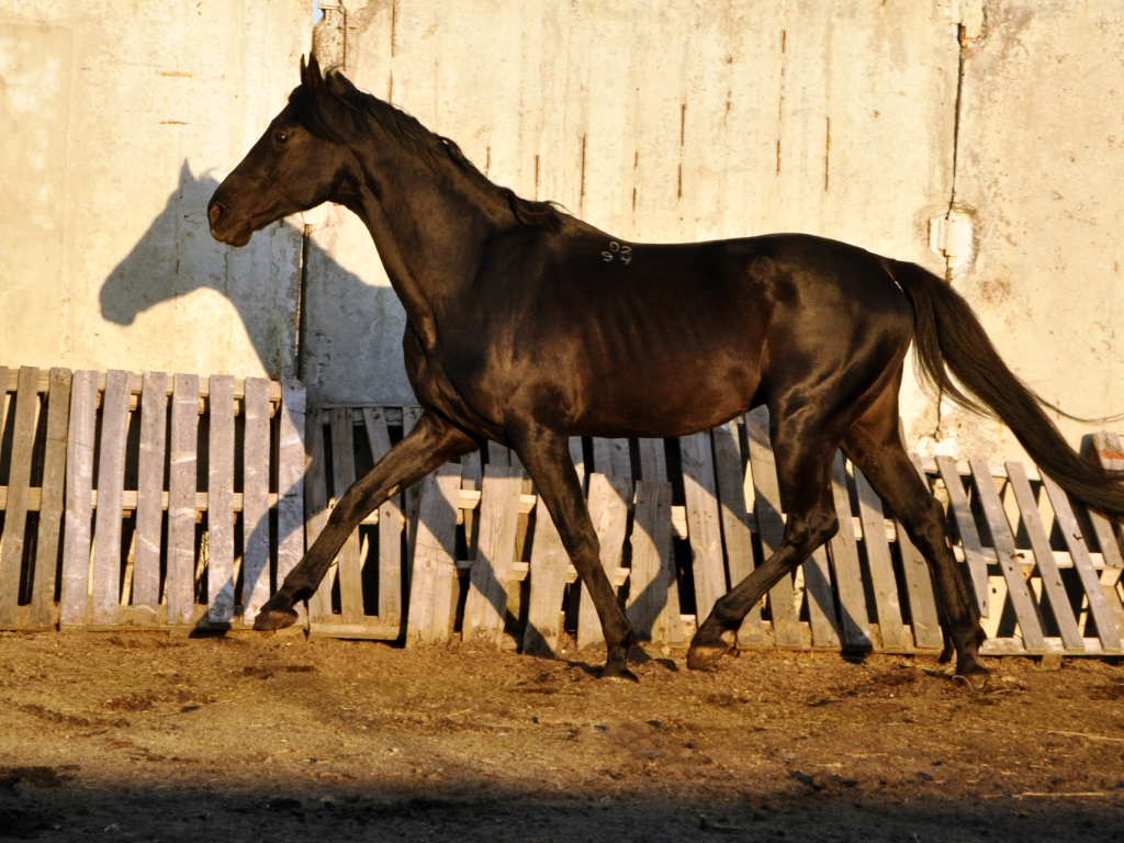 DSC_0056.JPG