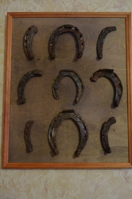 DSC_0057 (424x640).jpg