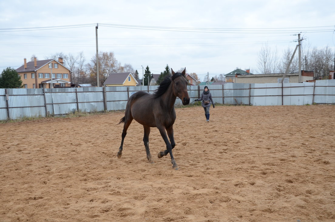 DSC_0073.JPG