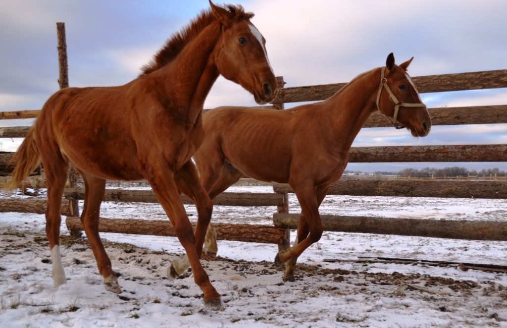 DSC_0078.JPG