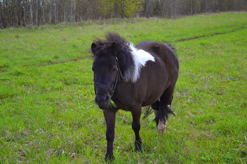 DSC_0079.JPG