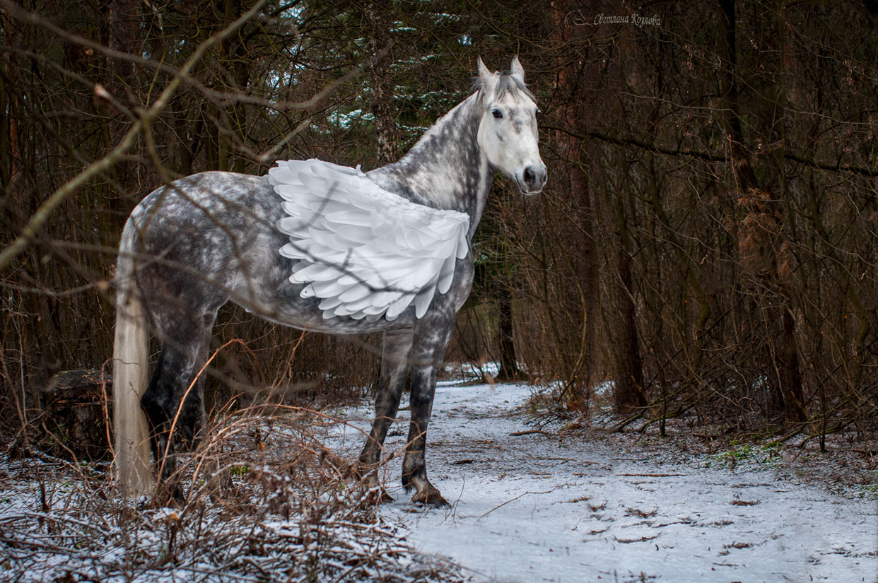 DSC_0097(с)sm.jpg