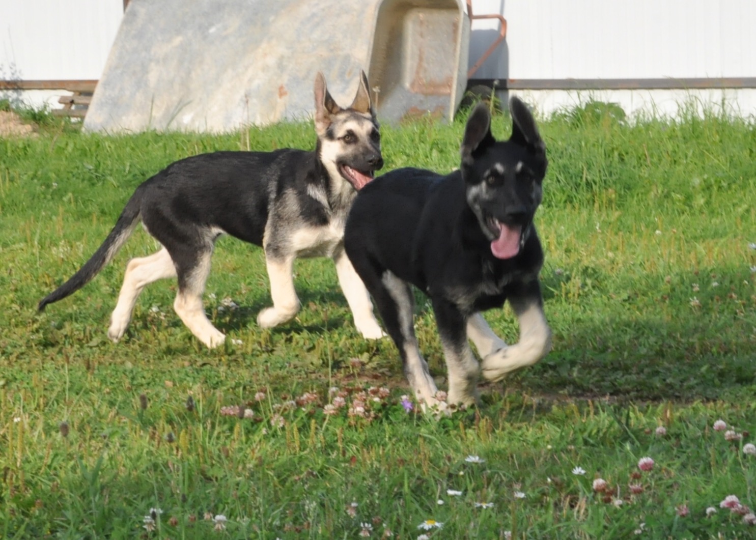DSC_0102.JPG